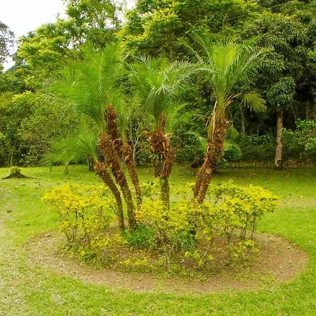 Eco Cabanas San Lorenzo La Mesa  Exterior photo