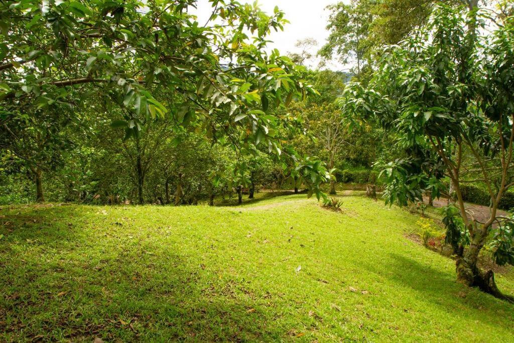 Holiday home Eco San Lorenzo La Mesa (Tequendama)